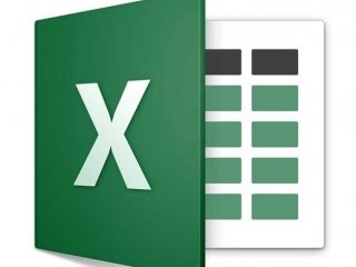 Microsoft Excel® 2019